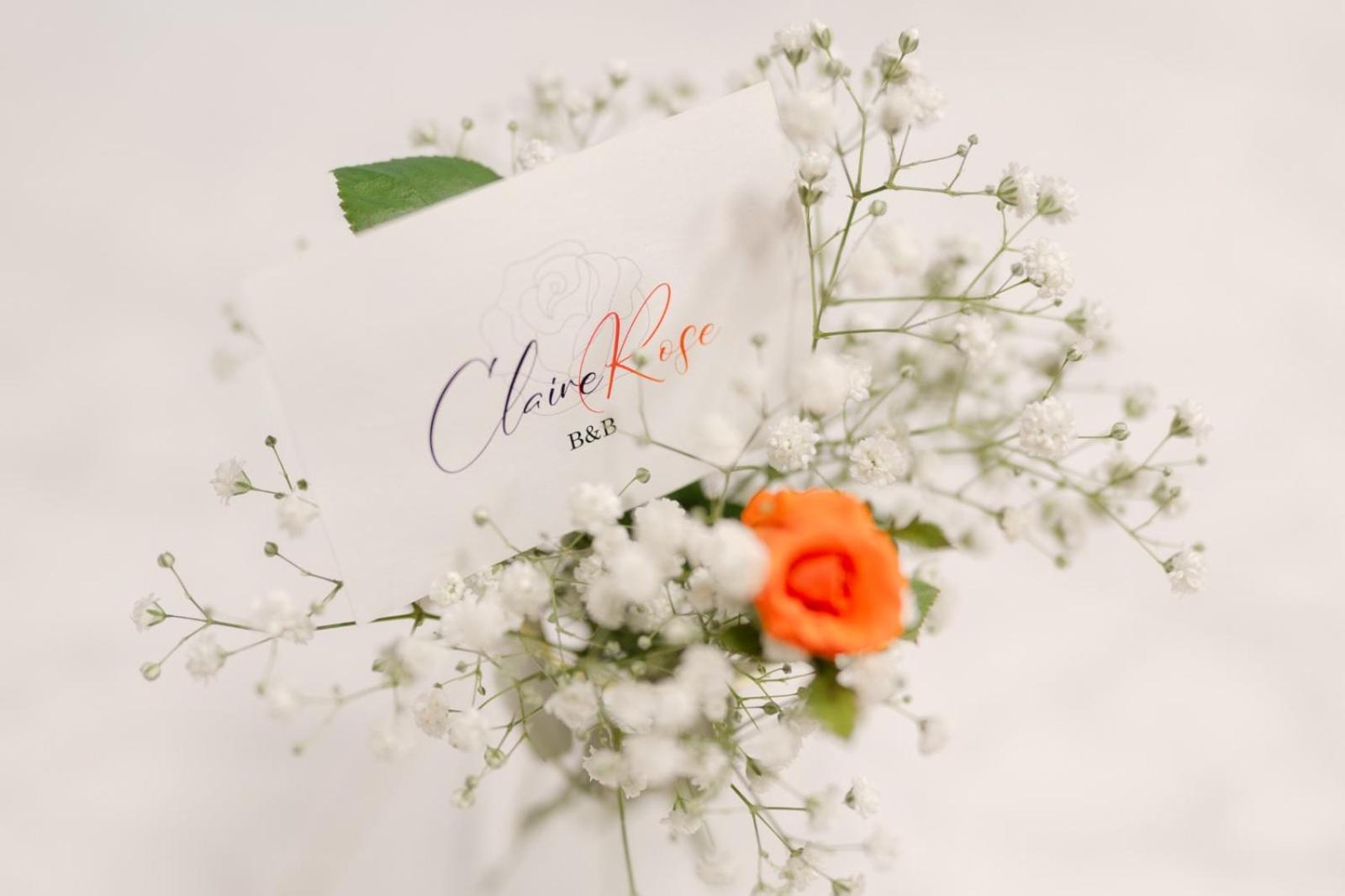 ماتيرا Claire Rose B&B المظهر الخارجي الصورة